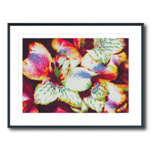 Colourful Flowers Cross Stitch Pattern