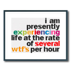 Experience Life Cross Stitch Pattern